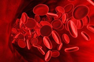 valori di bilirubina totale alti anemia emolitica